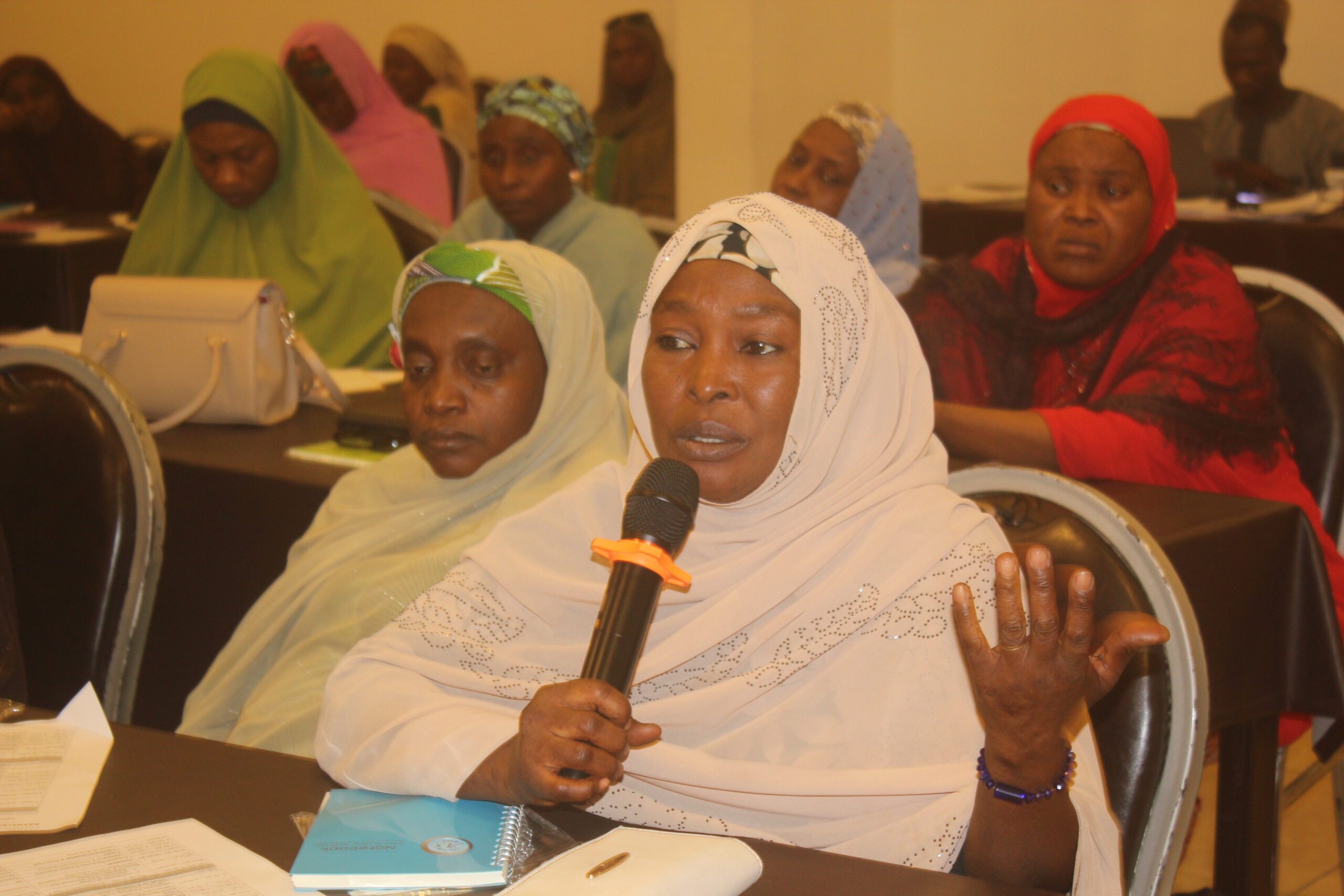 Workshop on preventing cervical cancer in Kano State, Nigeria.